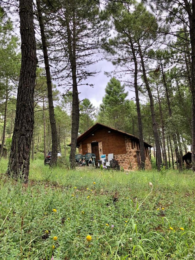Casa Rural Campanilla Riopar Luaran gambar